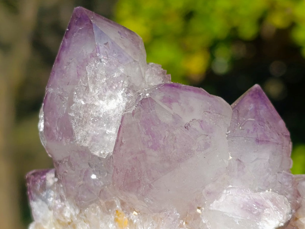 Natural Sunburst Amethyst Spirit Clusters x 6 From Boekenhouthoek, South Africa