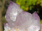 Natural Sunburst Amethyst Spirit Clusters x 6 From Boekenhouthoek, South Africa