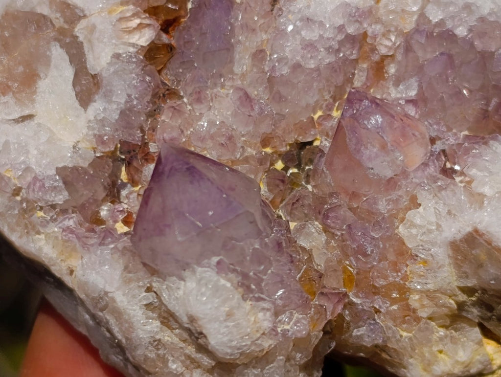 Natural Sunburst Amethyst Spirit Clusters x 6 From Boekenhouthoek, South Africa