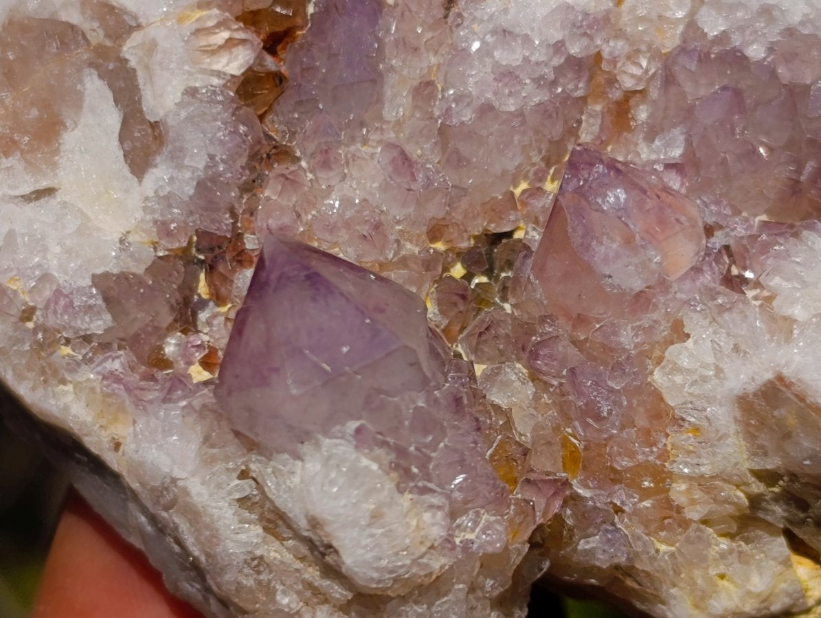 Natural Sunburst Amethyst Spirit Clusters x 6 From Boekenhouthoek, South Africa