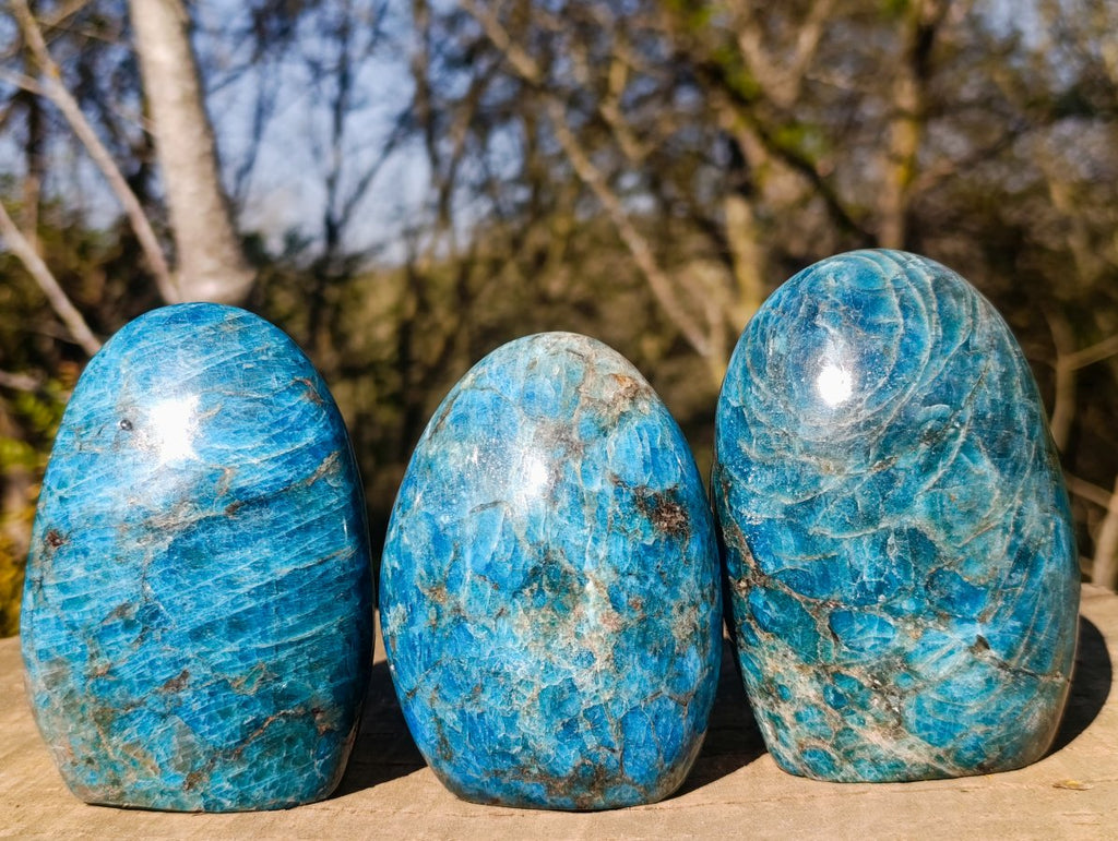 Polished Blue Apatite Standing Display Pieces x 3 From Betroka, Madagascar