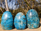 Polished Blue Apatite Standing Display Pieces x 3 From Betroka, Madagascar