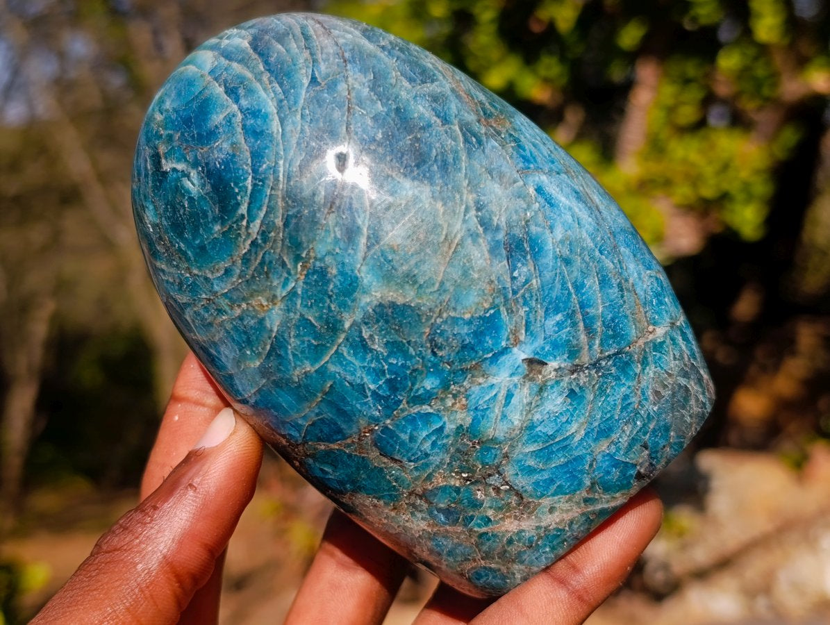 Polished Blue Apatite Standing Display Pieces x 3 From Betroka, Madagascar