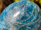 Polished Blue Apatite Standing Display Pieces x 3 From Betroka, Madagascar