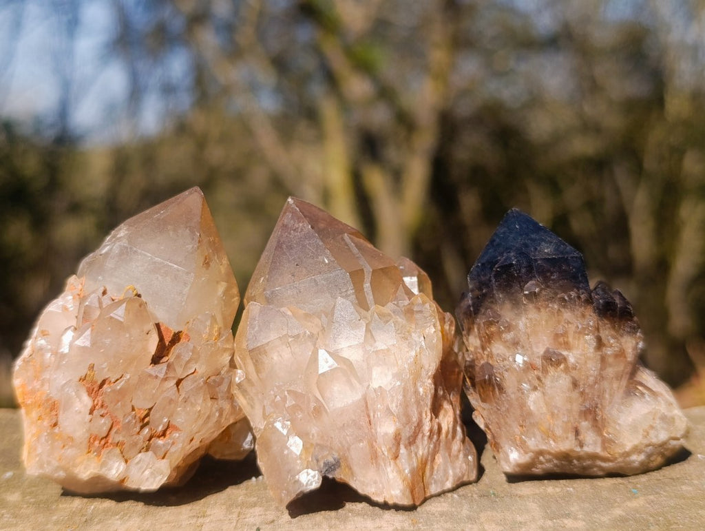 Natural Smokey Luena Quartz Crystals x 20 From Luena, Congo