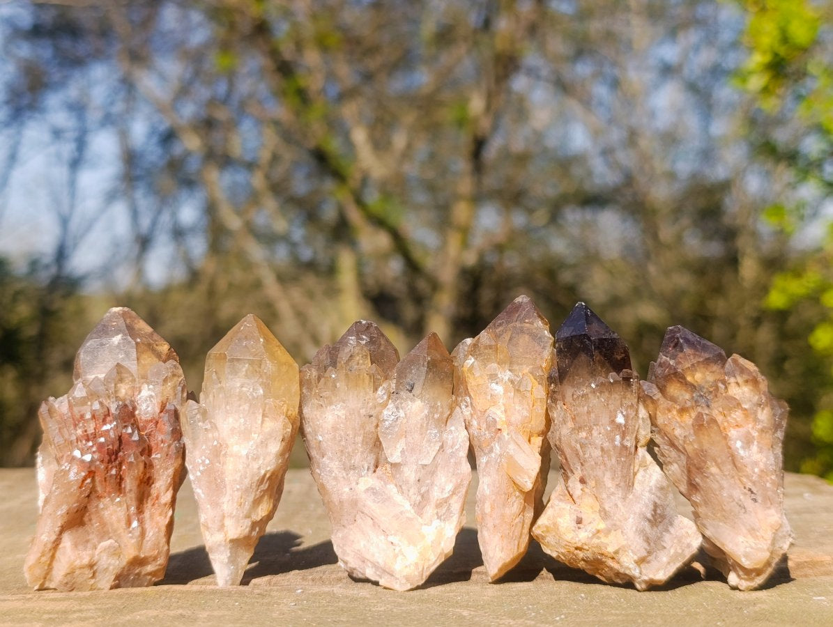 Natural Smokey Luena Quartz Crystals x 20 From Luena, Congo