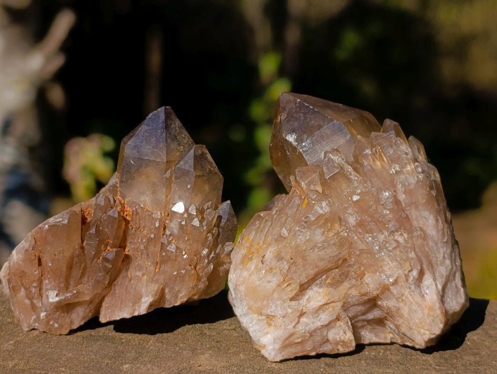 Natural Smokey Luena Quartz Crystals x 20 From Luena, Congo