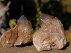 Natural Smokey Luena Quartz Crystals x 20 From Luena, Congo