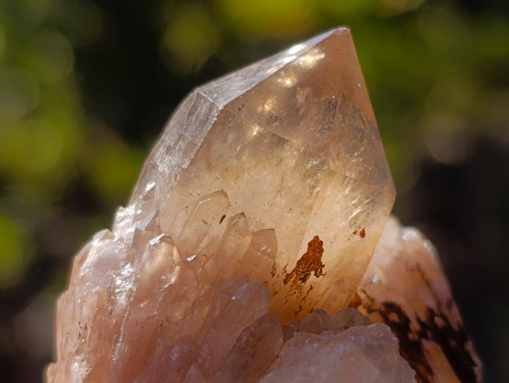 Natural Smokey Luena Quartz Crystals x 20 From Luena, Congo