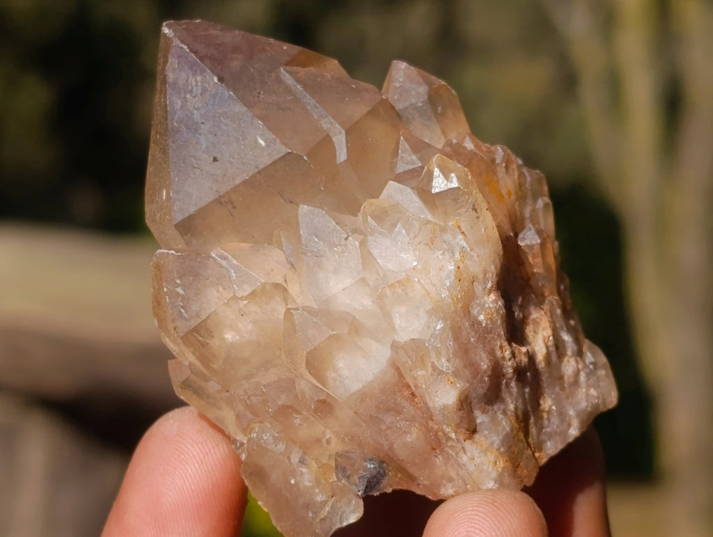 Natural Smokey Luena Quartz Crystals x 20 From Luena, Congo