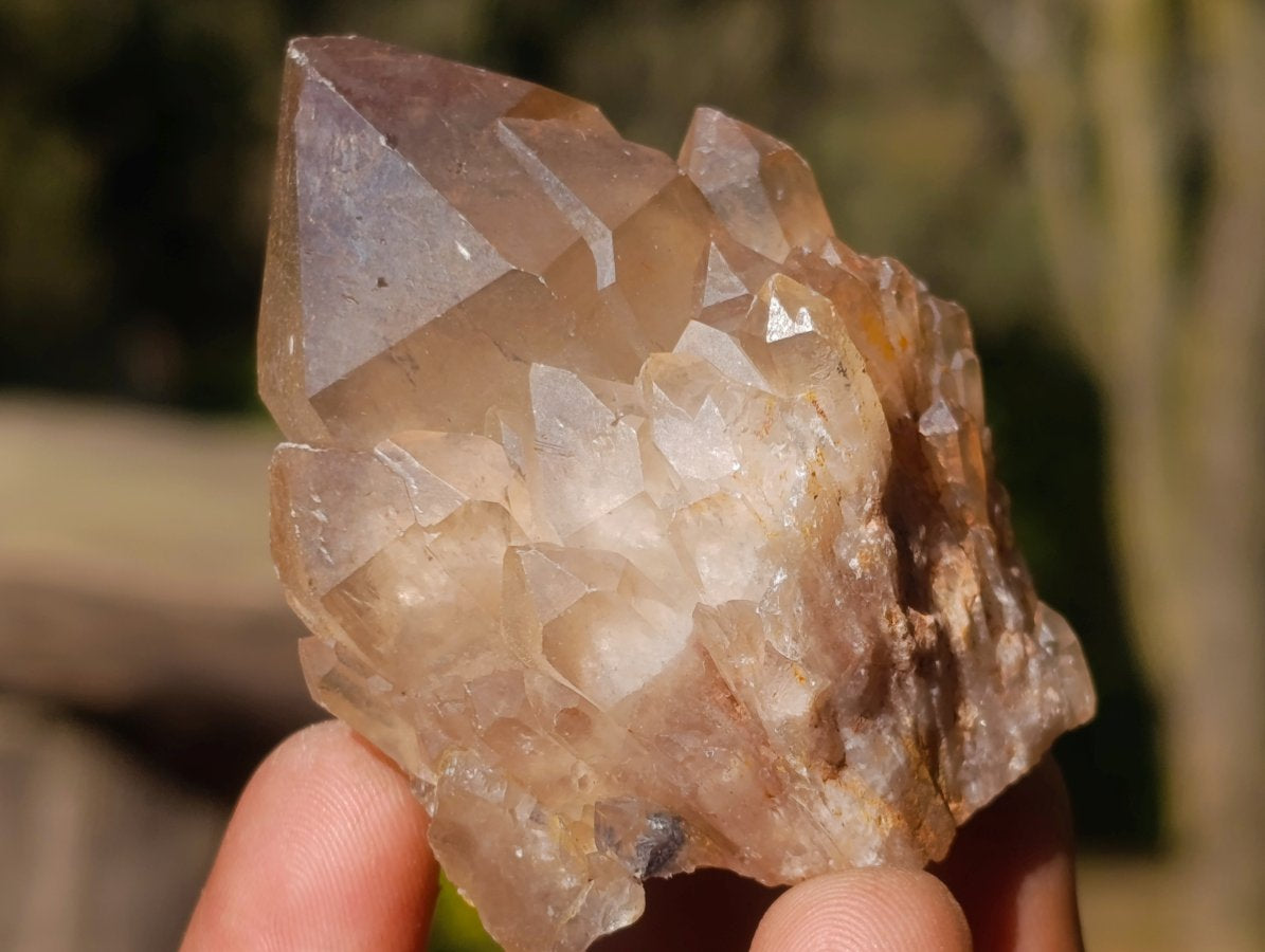 Natural Smokey Luena Quartz Crystals x 20 From Luena, Congo
