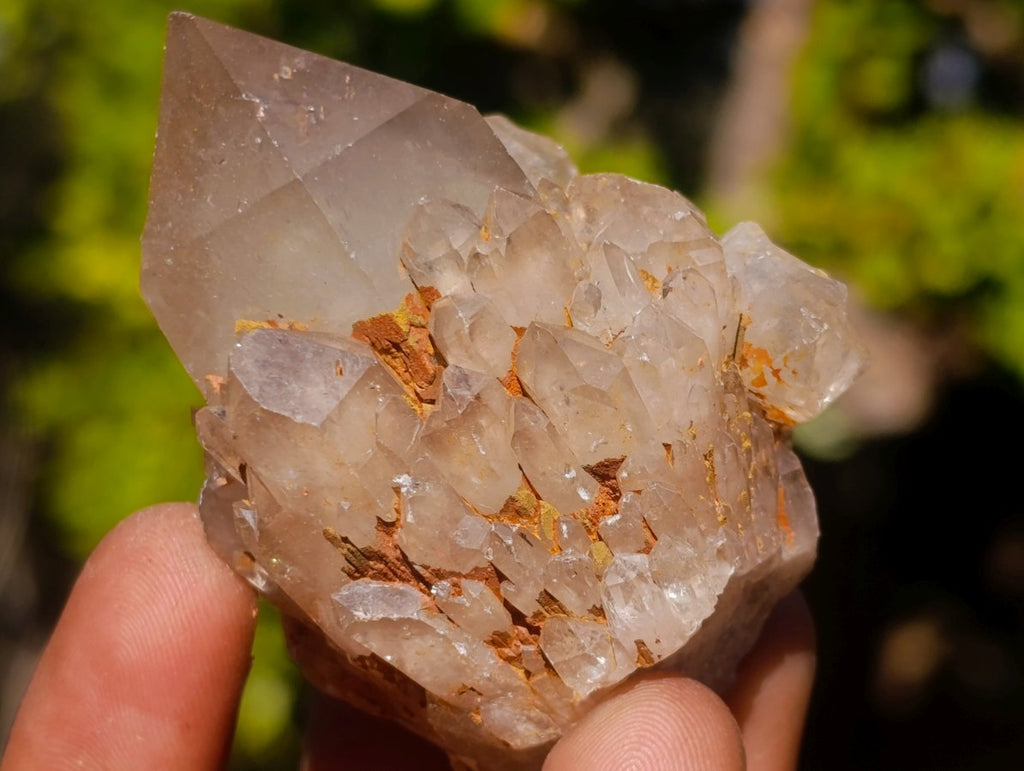 Natural Smokey Luena Quartz Crystals x 20 From Luena, Congo