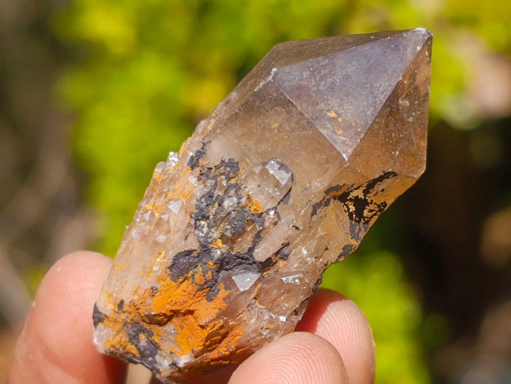 Natural Smokey Luena Quartz Crystals x 20 From Luena, Congo