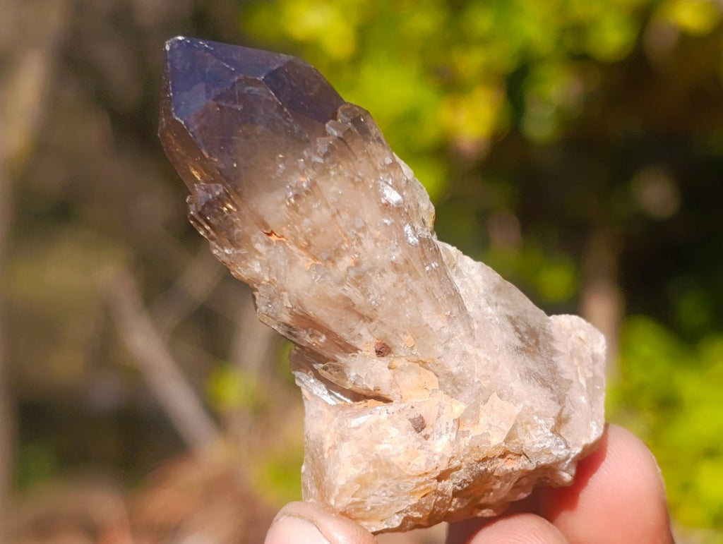 Natural Smokey Luena Quartz Crystals x 20 From Luena, Congo