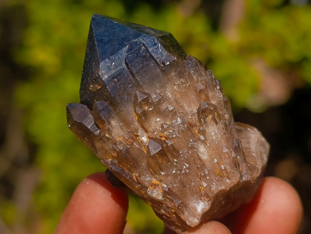 Natural Smokey Luena Quartz Crystals x 20 From Luena, Congo