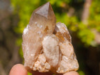 Natural Smokey Luena Quartz Crystals x 20 From Luena, Congo