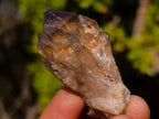 Natural Smokey Luena Quartz Crystals x 20 From Luena, Congo