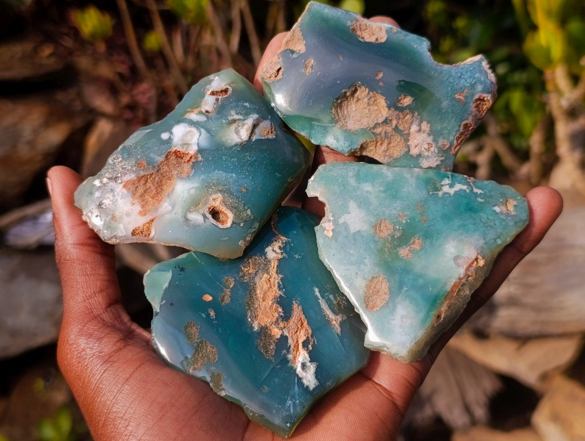 Polished One Side Mtorolite Chrysoprase Slices x 24 From Mutorashanga, Zimbabwe