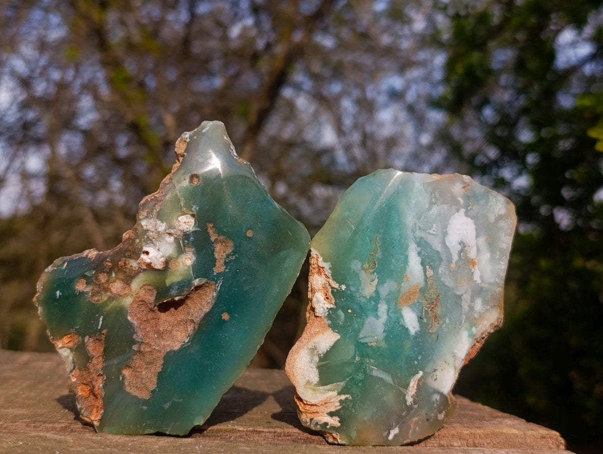 Polished One Side Mtorolite Chrysoprase Slices x 24 From Mutorashanga, Zimbabwe