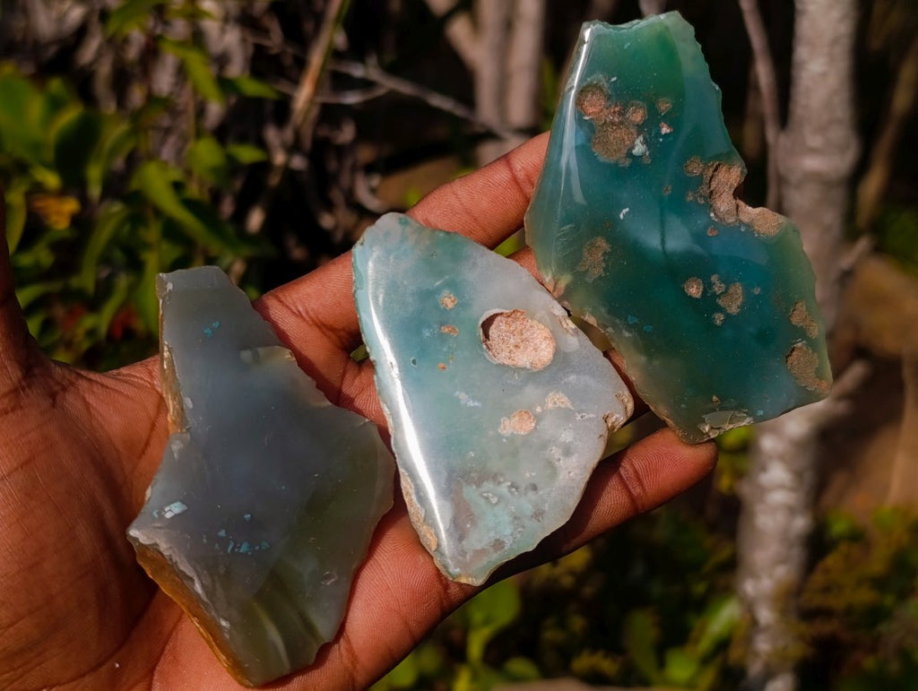 Polished One Side Mtorolite Chrysoprase Slices x 24 From Mutorashanga, Zimbabwe