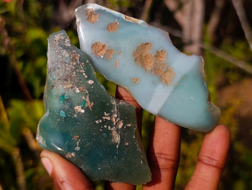 Polished One Side Mtorolite Chrysoprase Slices x 24 From Mutorashanga, Zimbabwe