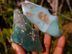 Polished One Side Mtorolite Chrysoprase Slices x 24 From Mutorashanga, Zimbabwe