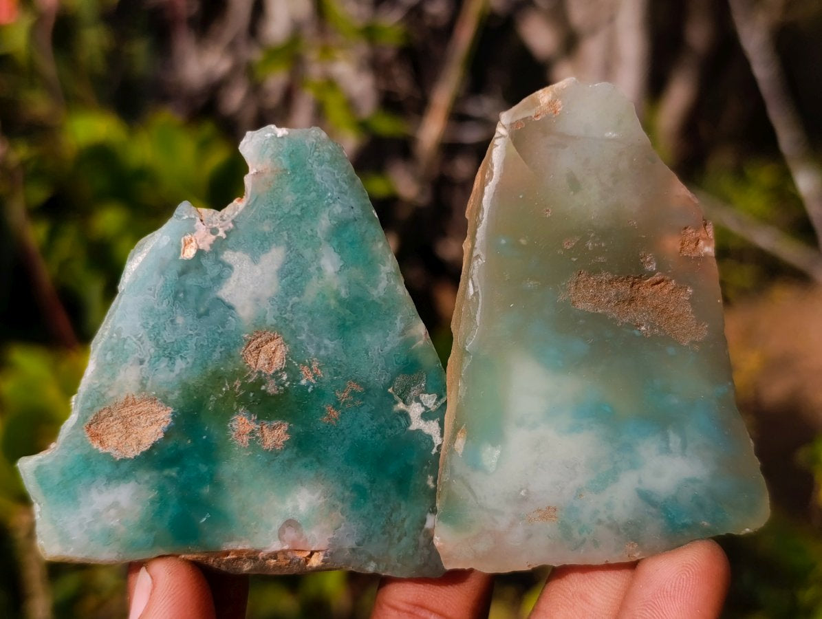 Polished One Side Mtorolite Chrysoprase Slices x 24 From Mutorashanga, Zimbabwe