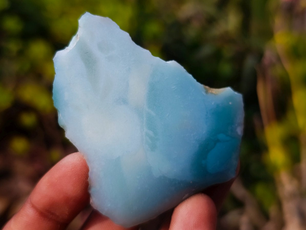 Polished One Side Mtorolite Chrysoprase Slices x 24 From Mutorashanga, Zimbabwe