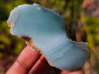 Polished One Side Mtorolite Chrysoprase Slices x 24 From Mutorashanga, Zimbabwe