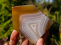 Polished Banded Agate Crystal Shaped Slices x 12 From Madagascar