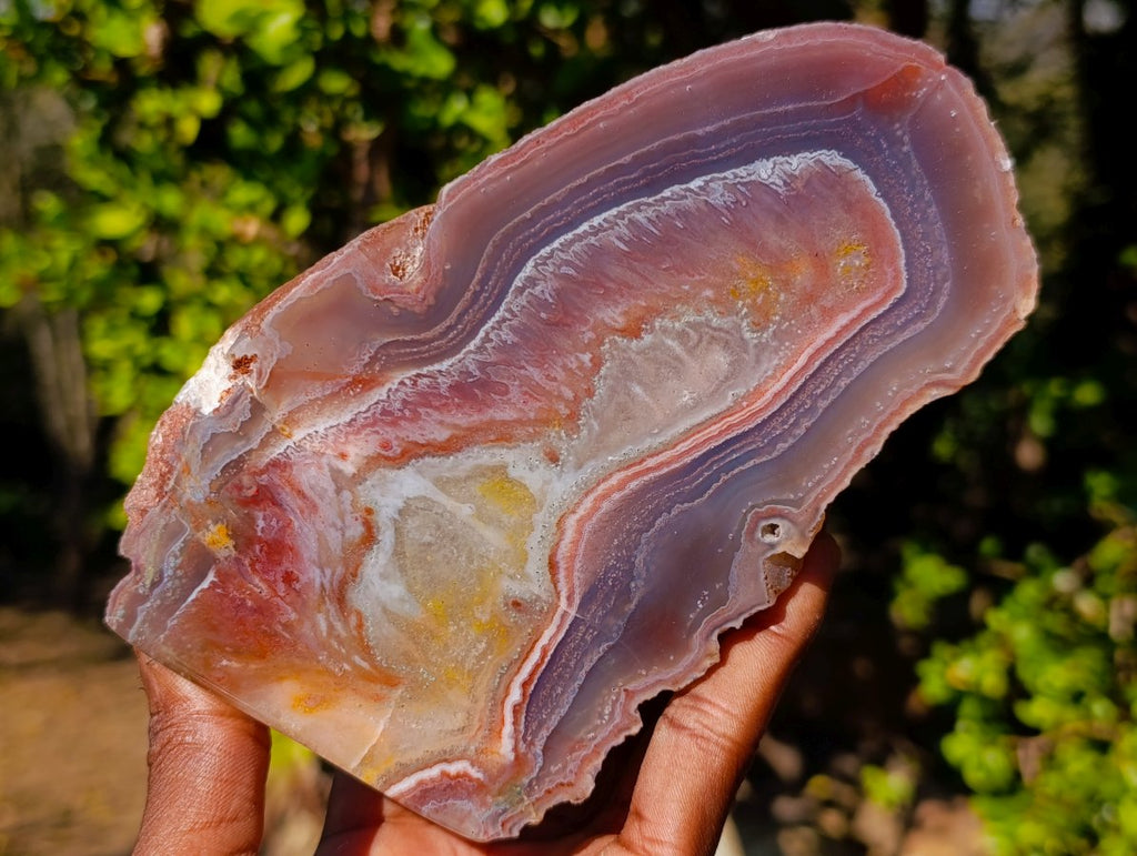 Polished One Side Red Shashe River Agate Slices and Nodules x 5 From Shashe River, Zimbabwe