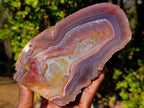 Polished One Side Red Shashe River Agate Slices and Nodules x 5 From Shashe River, Zimbabwe