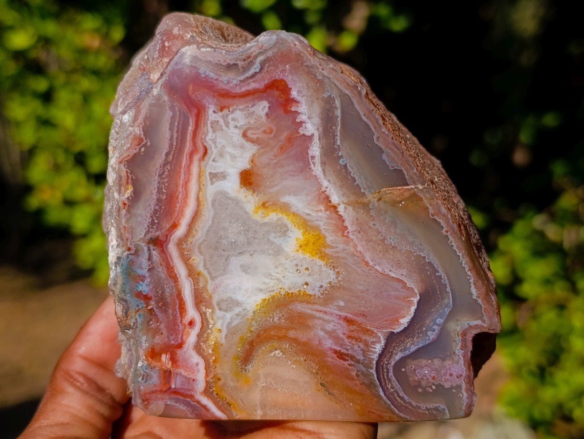 Polished One Side Red Shashe River Agate Slices and Nodules x 5 From Shashe River, Zimbabwe