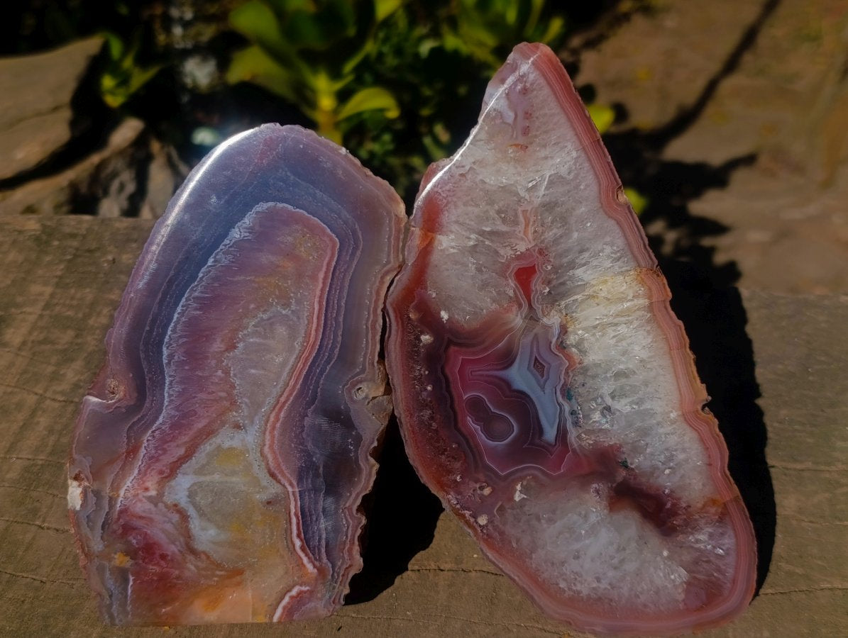 Polished One Side Red Shashe River Agate Slices and Nodules x 5 From Shashe River, Zimbabwe