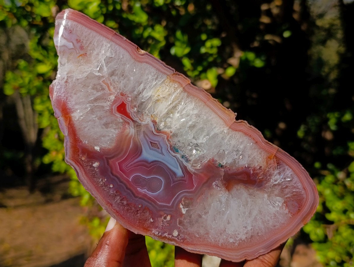Polished One Side Red Shashe River Agate Slices and Nodules x 5 From Shashe River, Zimbabwe