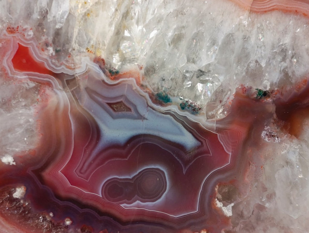 Polished One Side Red Shashe River Agate Slices and Nodules x 5 From Shashe River, Zimbabwe