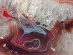 Polished One Side Red Shashe River Agate Slices and Nodules x 5 From Shashe River, Zimbabwe