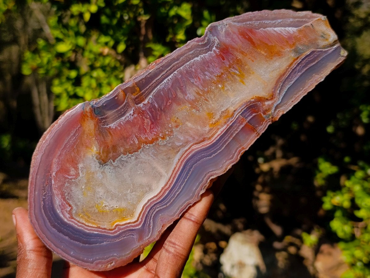 Polished One Side Red Shashe River Agate Slices and Nodules x 5 From Shashe River, Zimbabwe