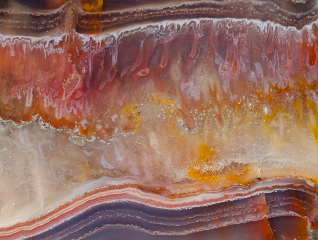 Polished One Side Red Shashe River Agate Slices and Nodules x 5 From Shashe River, Zimbabwe