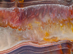 Polished One Side Red Shashe River Agate Slices and Nodules x 5 From Shashe River, Zimbabwe