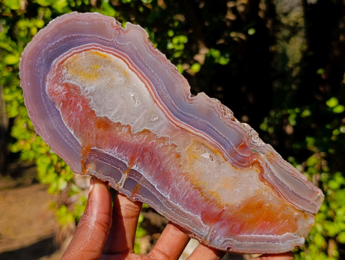 Polished One Side Red Shashe River Agate Slices and Nodules x 5 From Shashe River, Zimbabwe