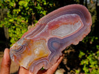 Polished One Side Red Shashe River Agate Slices and Nodules x 5 From Shashe River, Zimbabwe