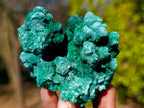 Natural Silky Malachite Specimens x 6 From Kasompe, Congo