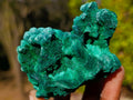 Natural Silky Malachite Specimens x 6 From Kasompe, Congo