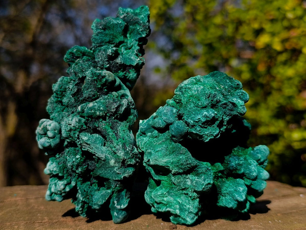 Natural Silky Malachite Specimens x 6 From Kasompe, Congo