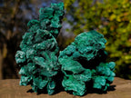 Natural Silky Malachite Specimens x 6 From Kasompe, Congo