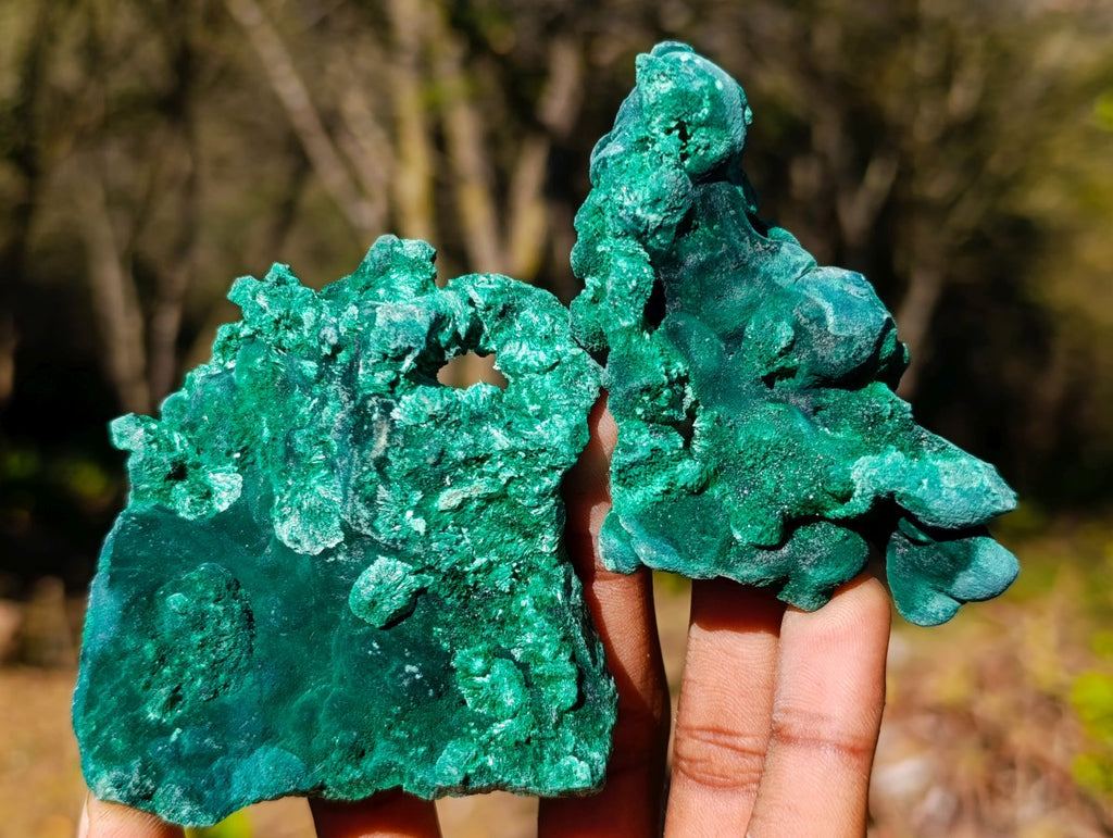 Natural Silky Malachite Specimens x 6 From Kasompe, Congo