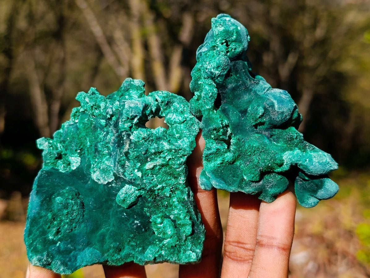 Natural Silky Malachite Specimens x 6 From Kasompe, Congo