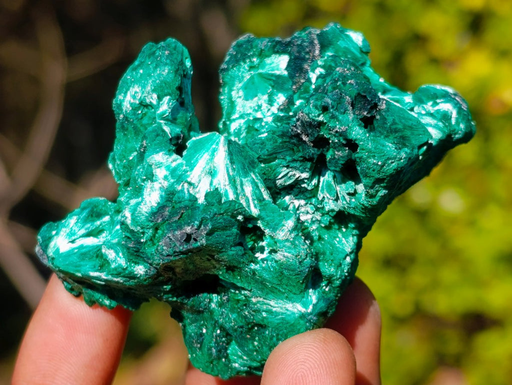Natural Silky Malachite Specimens x 6 From Kasompe, Congo