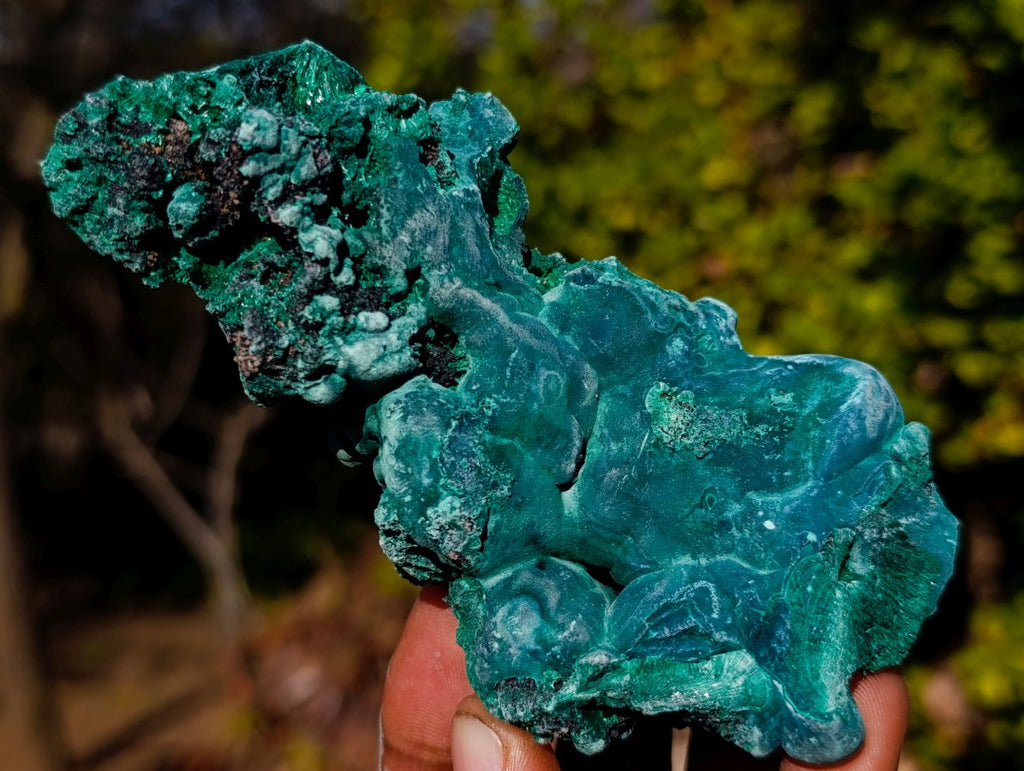 Natural Silky Malachite Specimens x 6 From Kasompe, Congo